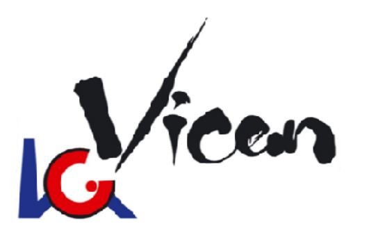 Vicem